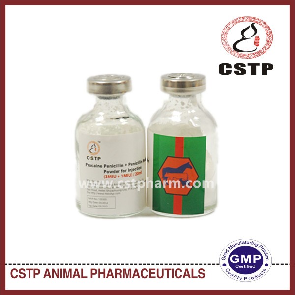 Procain Penicillin + Penicillin Sodium 3MIU+1MIU